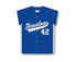 Athletic Knit BA400 Custom Baseball Jersey