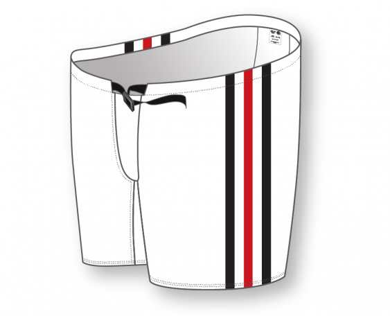 Athletic Knit ZH901-DESIGN-HP2107 Custom Sublimated Hockey Pant Shells