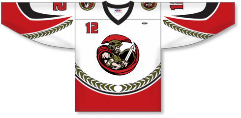 Athletic Knit ZH101-DESIGN-H1016 Custom Sublimated Hockey Jersey