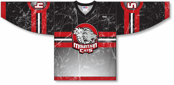 Athletic Knit ZH101-DESIGN-H1114 Custom Sublimated Hockey Jersey
