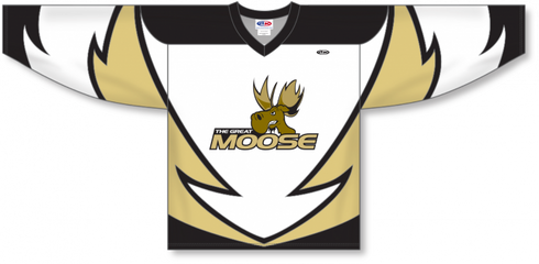 Athletic Knit ZH102-DESIGN-H0909 Custom Sublimated Hockey Jersey