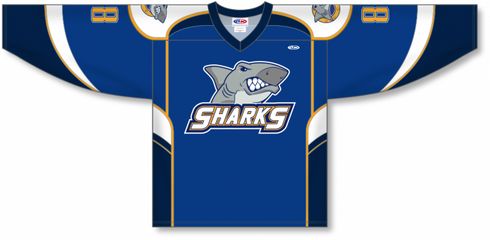 Athletic Knit ZH102-DESIGN-H1107 Custom Sublimated Hockey Jersey