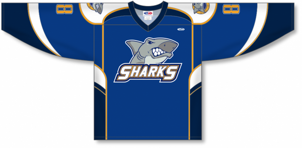 Athletic Knit ZH102-DESIGN-H1107 Custom Sublimated Hockey Jersey