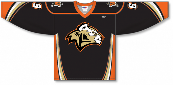 Athletic Knit ZH102-DESIGN-H1222 Custom Sublimated Hockey Jersey