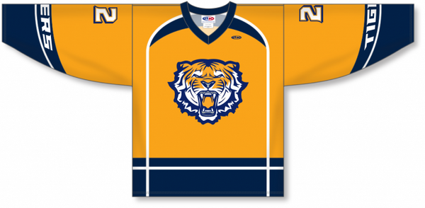 Athletic Knit ZH103-DESIGN-H1205 Custom Sublimated Hockey Jersey
