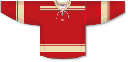 Athletic Knit ZH121-DESIGN-DET3025 Custom Sublimated Hockey Jersey