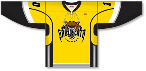 Athletic Knit ZH121-DESIGN-H1109 Custom Sublimated Hockey Jersey
