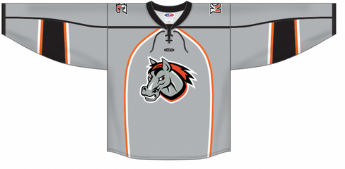 Athletic Knit ZH131-DESIGN-KCM2039 Custom Sublimated Hockey Jersey