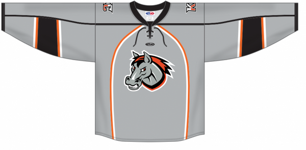Athletic Knit ZH131-DESIGN-KCM2039 Custom Sublimated Hockey Jersey