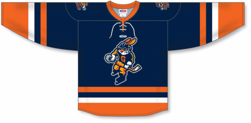 Athletic Knit ZH132-DESIGN-GSR1904 Custom Sublimated Hockey Jersey