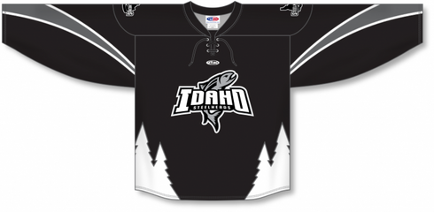 Athletic Knit ZH132-DESIGN-IDA2025 Custom Sublimated Hockey Jersey