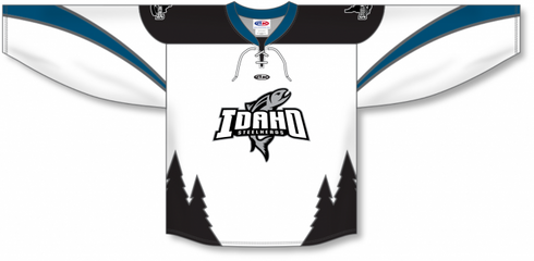 Athletic Knit ZH132-DESIGN-IDA2026 Custom Sublimated Hockey Jersey
