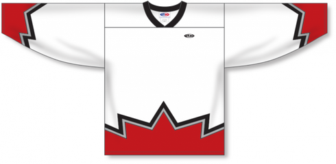 Athletic Knit ZH171-DESIGN-67S913C Custom Sublimated Hockey Jersey