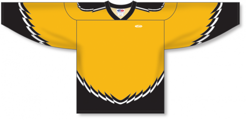 Athletic Knit ZH172-DESIGN-BOS299C Custom Sublimated Hockey Jersey