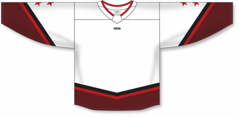 Athletic Knit ZH181-DESIGN-ALL3101 Custom Sublimated Hockey Jersey