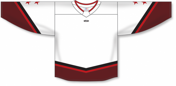 Athletic Knit ZH181-DESIGN-ALL3101 Custom Sublimated Hockey Jersey