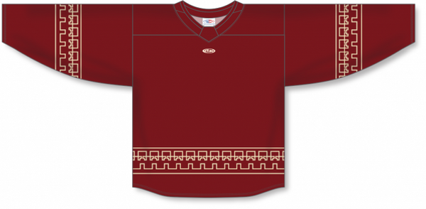 Athletic Knit ZH181-DESIGN-ARI3109 Custom Sublimated Hockey Jersey