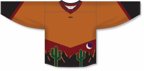 Athletic Knit ZH181-DESIGN-ARI3110 Custom Sublimated Hockey Jersey