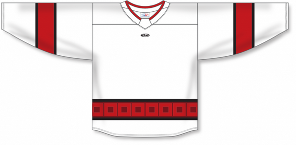 Athletic Knit ZH181-DESIGN-CAR3121 Custom Sublimated Hockey Jersey