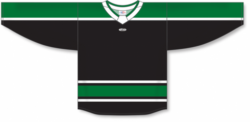 Athletic Knit ZH181-DESIGN-DAL3127 Custom Sublimated Hockey Jersey