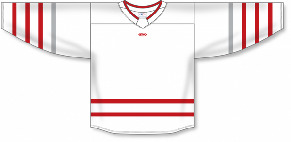 Athletic Knit ZH181-DESIGN-DET3128 Custom Sublimated Hockey Jersey
