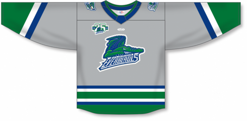 Athletic Knit ZH181-DESIGN-FLA2306 Custom Sublimated Hockey Jersey