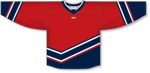 Athletic Knit ZH181-DESIGN-WAS3084 Custom Sublimated Hockey Jersey