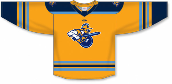 Athletic Knit ZH182-DESIGN-ATG2366 Custom Sublimated Hockey Jersey