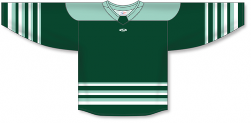 Athletic Knit ZH182-DESIGN-BFL2501 Custom Sublimated Hockey Jersey