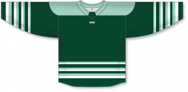 Athletic Knit ZH182-DESIGN-BFL2501 Custom Sublimated Hockey Jersey
