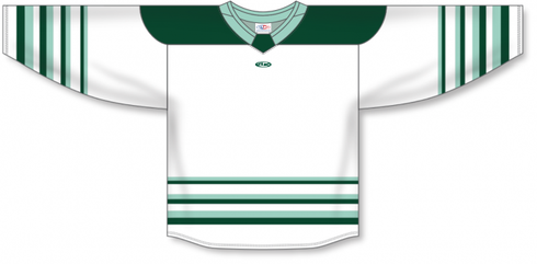 Athletic Knit ZH182-DESIGN-BFL2502 Custom Sublimated Hockey Jersey