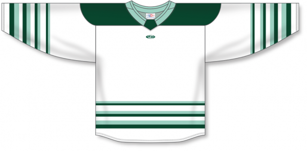 Athletic Knit ZH182-DESIGN-BFL2502 Custom Sublimated Hockey Jersey