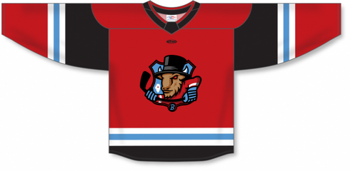 Athletic Knit ZH182-DESIGN-BLB2405 Custom Sublimated Hockey Jersey