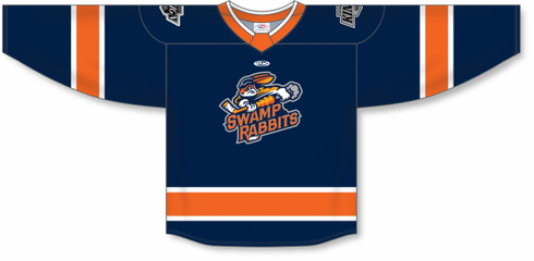 Athletic Knit ZH182-DESIGN-GSR2411 Custom Sublimated Hockey Jersey