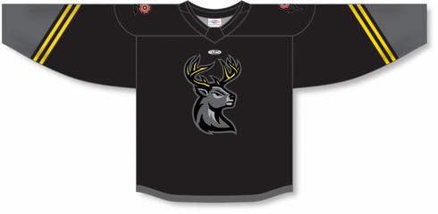 Athletic Knit ZH182-DESIGN-IAH2319 Custom Sublimated Hockey Jersey
