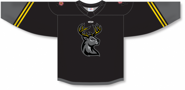 Athletic Knit ZH182-DESIGN-IAH2319 Custom Sublimated Hockey Jersey