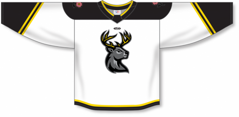 Athletic Knit ZH182-DESIGN-IAH2320 Custom Sublimated Hockey Jersey