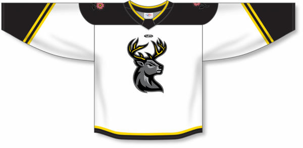 Athletic Knit ZH182-DESIGN-IAH2320 Custom Sublimated Hockey Jersey