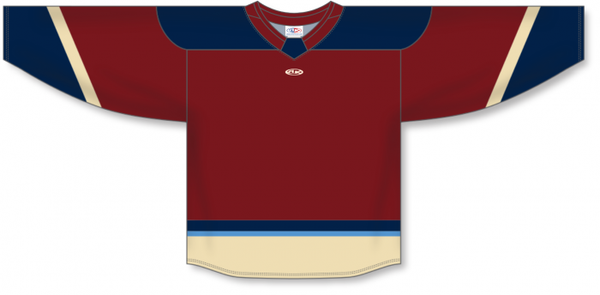 Athletic Knit ZH182-DESIGN-MTL2505 Custom Sublimated Hockey Jersey