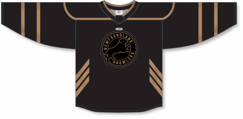 Athletic Knit ZH182-DESIGN-NFG2425 Custom Sublimated Hockey Jersey