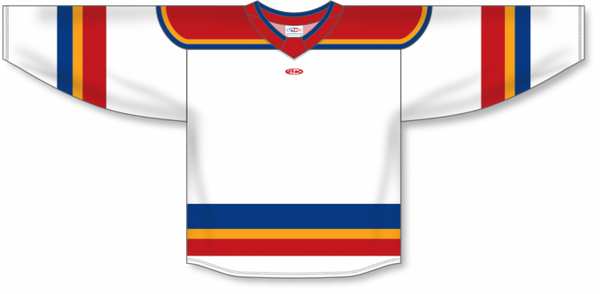 Athletic Knit ZH182-DESIGN-NJE3145 Custom Sublimated Hockey Jersey