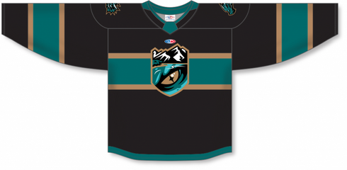Athletic Knit ZH182-DESIGN-TAH2437 Custom Sublimated Hockey Jersey