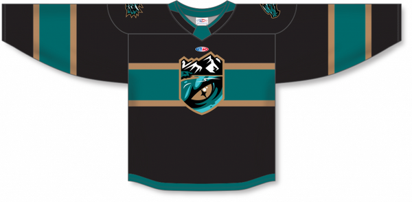 Athletic Knit ZH182-DESIGN-TAH2437 Custom Sublimated Hockey Jersey