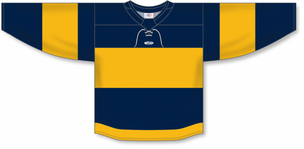 Athletic Knit ZH191-DESIGN-NAS3141 Custom Sublimated Hockey Jersey