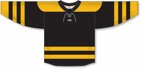 Athletic Knit ZH192-DESIGN-BOS3113 Custom Sublimated Hockey Jersey