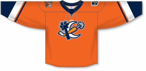 Athletic Knit ZH192-DESIGN-GSR2369 Custom Sublimated Hockey Jersey
