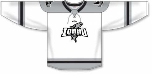 Athletic Knit ZH192-DESIGN-IDA2415 Custom Sublimated Hockey Jersey