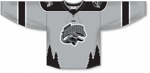 Athletic Knit ZH192-DESIGN-IDA2416 Custom Sublimated Hockey Jersey