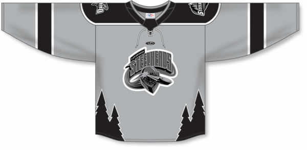 Athletic Knit ZH192-DESIGN-IDA2416 Custom Sublimated Hockey Jersey