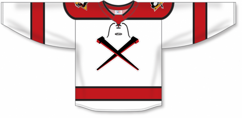 Athletic Knit ZH192-DESIGN-WHE2374 Custom Sublimated Hockey Jersey